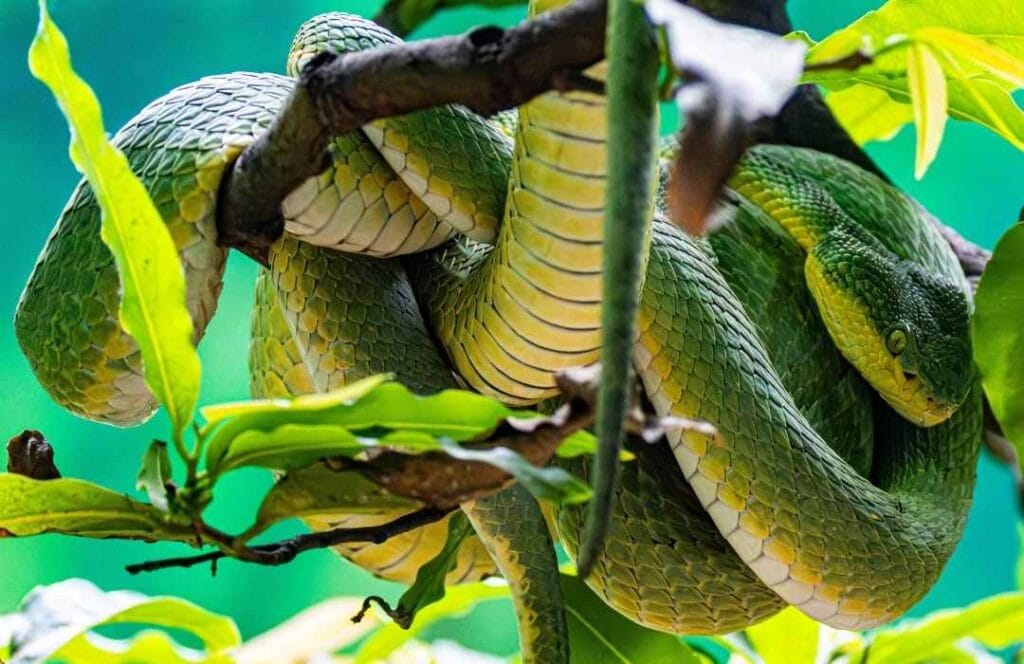 Amazon Rainforest adventure