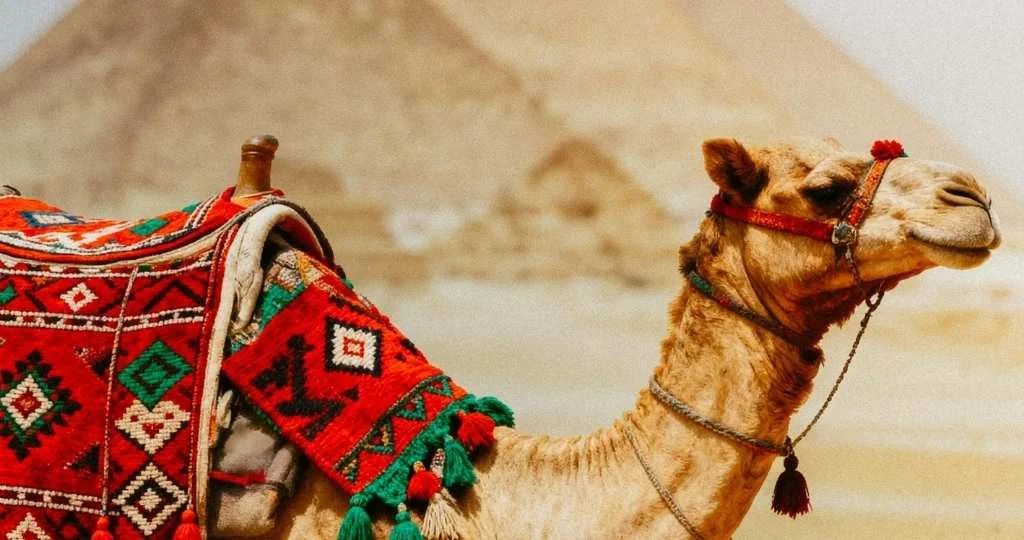 Egypt travel guide