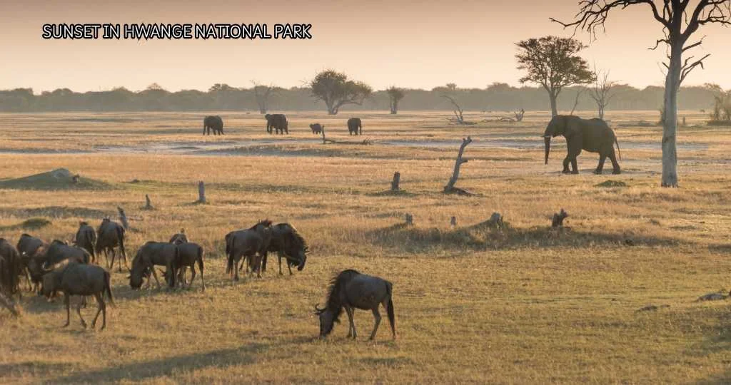 Authentic Solo African Experiences Zimbabwe