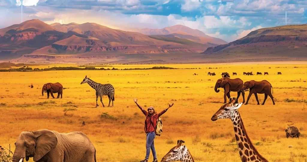 Kenya Safari Solo Travel Guide