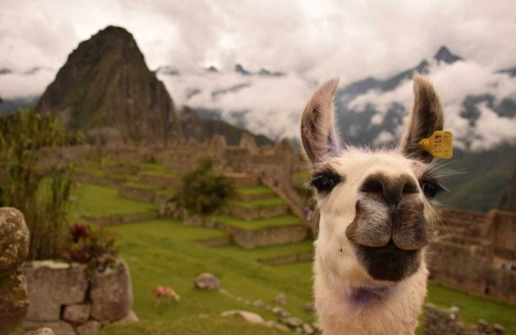 Machu Picchu Ruins