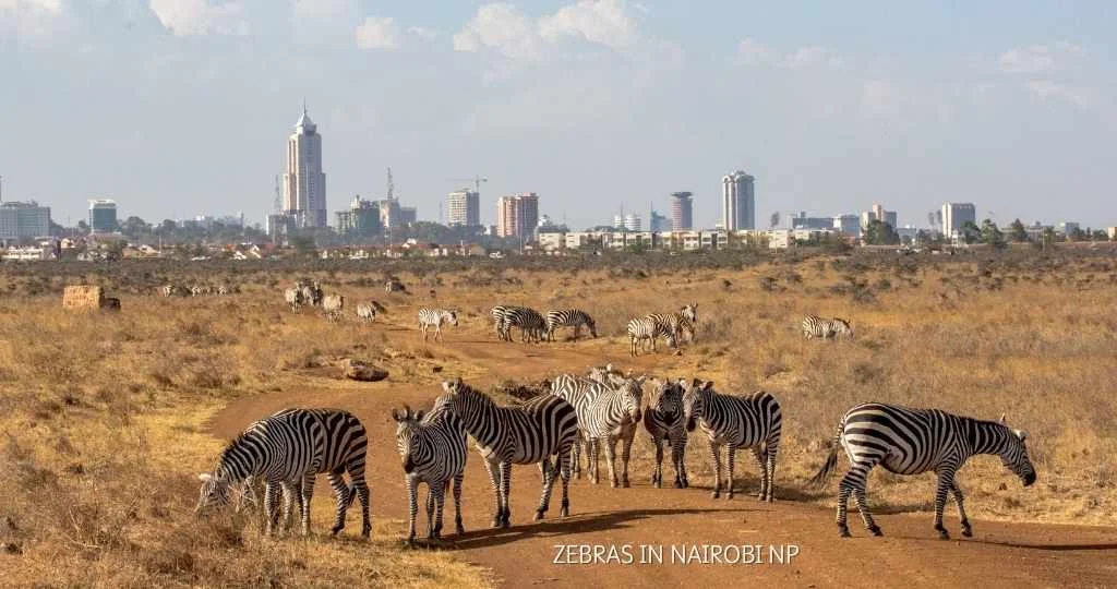 Nairobi 