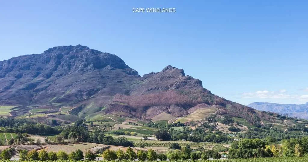 South Africa Solo Travel Guide