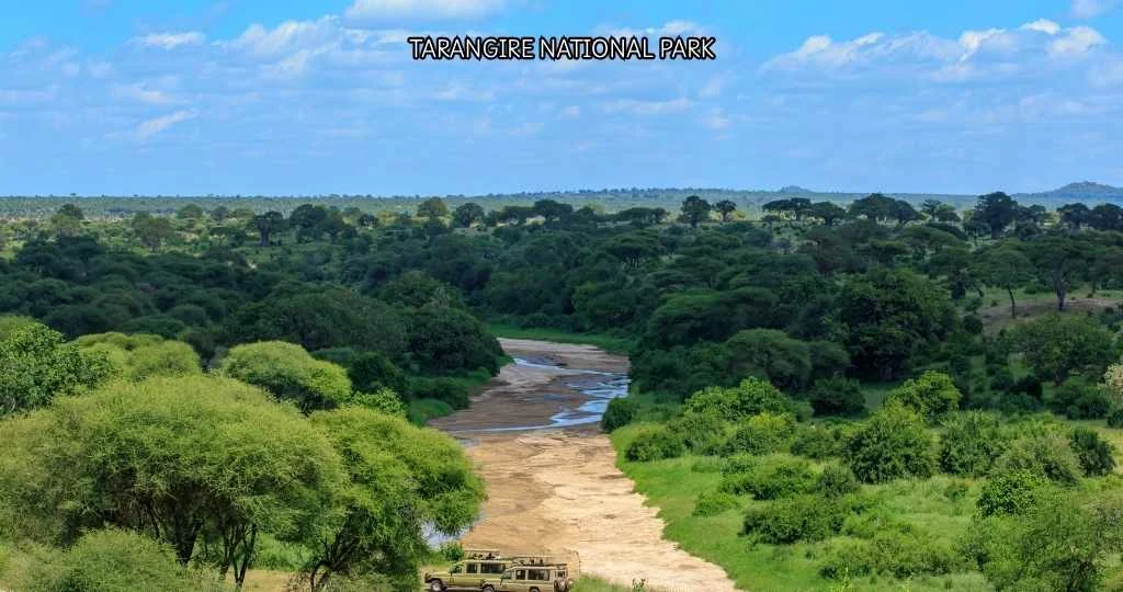 Tanzania Solo Travel Guide