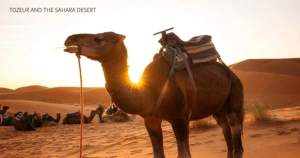 Tunisia solo travel guide