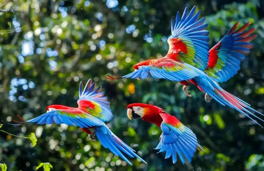 sustainable adventure travel costa rica liberia