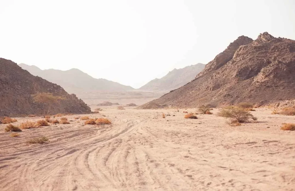 Eastern Libya Nature