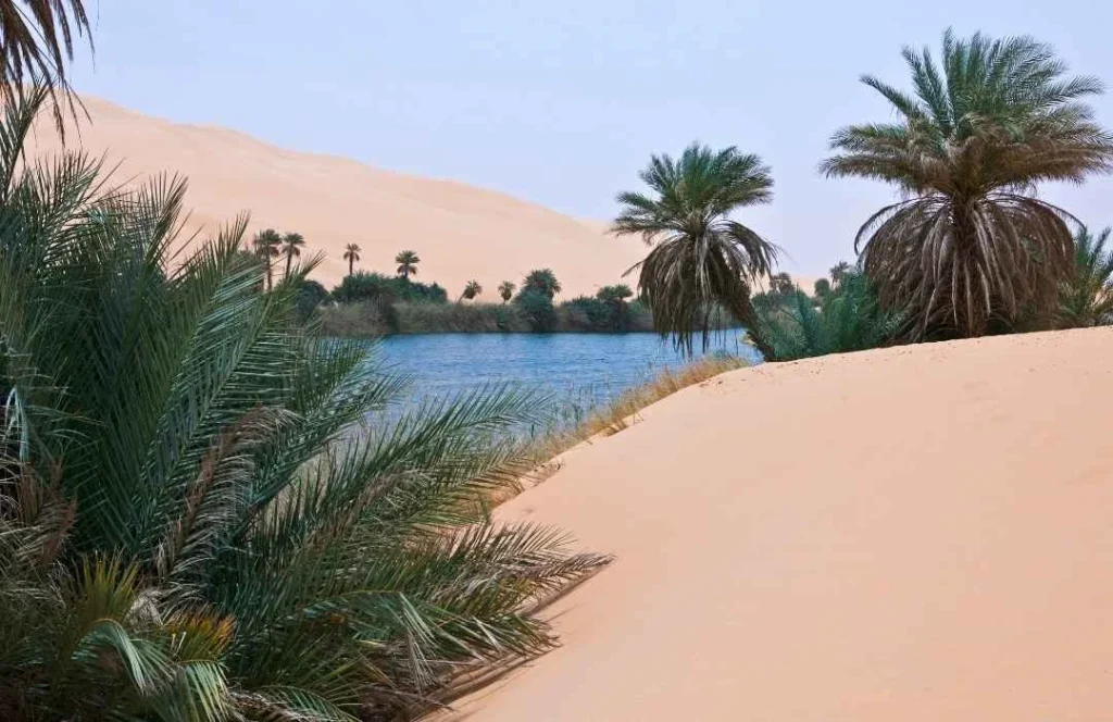 Eastern Libya Nature