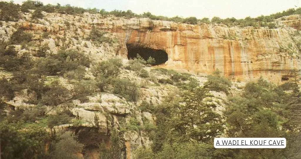 solo travel Al Marj Libya