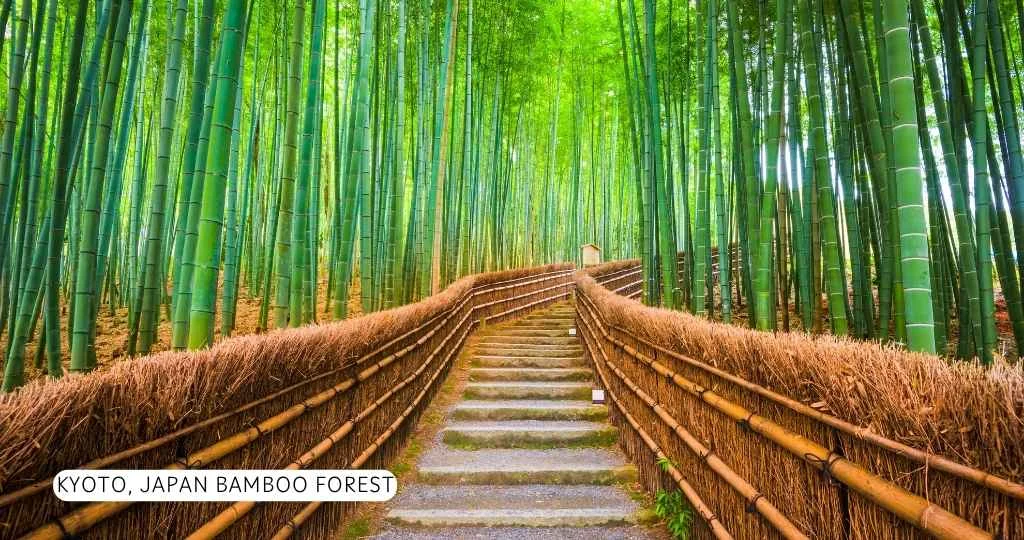Where to Go Alone in Your 20s