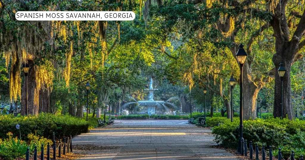 Best Place to Travel Solo Female in US